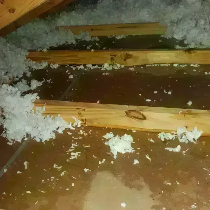 Attic Water Damage in South Haven, MI