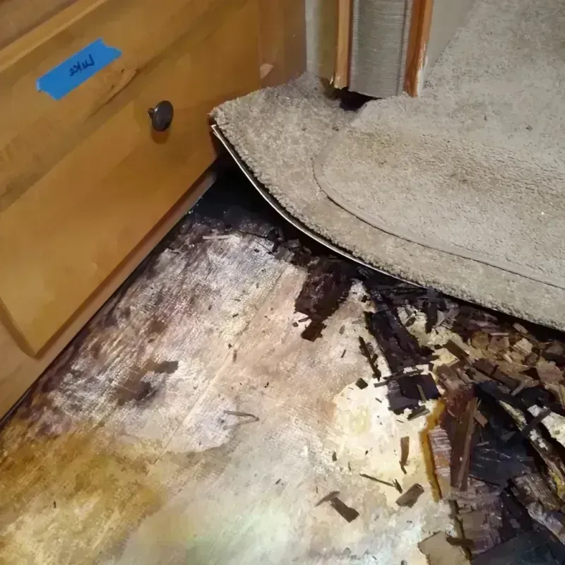 Best Wood Floor Water Damage Service in South Haven, MI